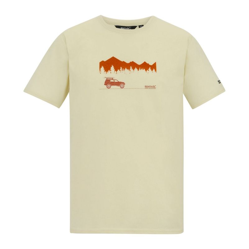 Regatta Mens Cline Ix Wilderness TShirt  White Stone